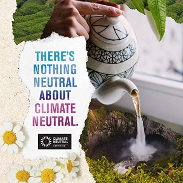 Numi Organic Jasmine Green Tea - Premium Floral Green Tea