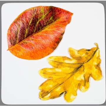 Sisson Distribution Premium Porcelain Square Serving Platter - 10 Inch, Elegant White Butter Board f...