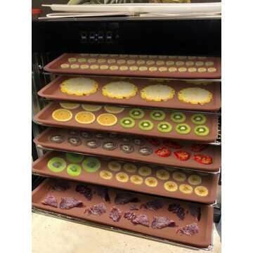 4PCS Silicone Dehydrator Mats with Edge - Silicone Sheets Compatible with Cosori CP267-FD, Nonstick ...