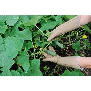 Magid Glove & Safety Professional Rose Pruning Thorn Resistant Gardening Gloves with Long Forearm Protection for Women (BE195TM) - Puncture Resistant, Medium (1 Pair), Brown & Purple