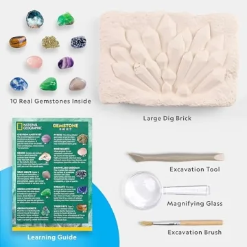 National Geographic Gemstone Dig Kit for Kids, Real Gemstones