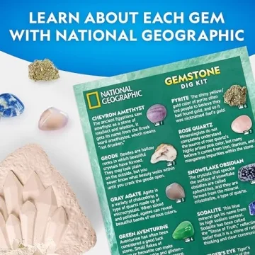 National Geographic Gemstone Dig Kit for Kids, Real Gemstones