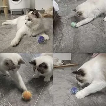 Osvela Cat Ball Toy Cat Toy Pom Pom Sparkle Fuzzy Balls 2 Inches Interactive Cat Toy Assorted Color 12 Pack