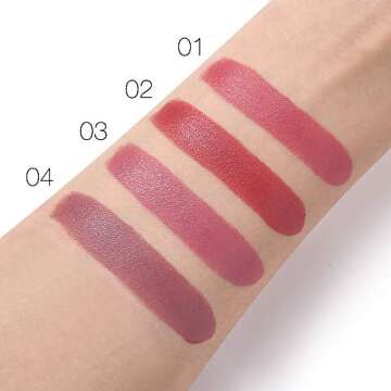 UCANBE Matte Lipstick Velvet Color Long Wear Lipstick Waterproof Makeup Cosmetics (Set of 4)