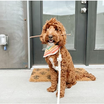 Stylish Handmade Rope Leashes for Dogs - Eco-Friendly Cotton