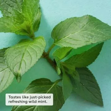 eos 100% Natural & Organic Lip Balm- Sweet Mint, Dermatologist Recommended, All-Day Moisture, Made f...