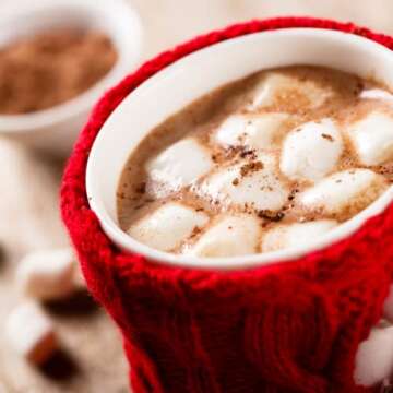 Delicious Hot Chocolate Melting Balls with Marshmallows