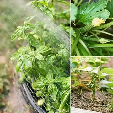 Organic Vegetable Seeds - Non-GMO 10-Pack for Planting