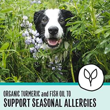 SmartyPaws Dog Vitamins for Joint & Gut Health Chewable