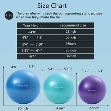 RGGD&RGGL Exercise Ball (18-34in),Professional Yoga Stability Ball Chair Extra Thick Anti-Burst Support 2200 lbs,with Quick Pump &Workout Guide for Home&Gym&Office (Pink, 22inch)