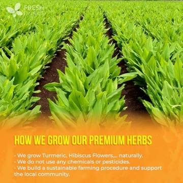 FreshDrinkUS Harmony Herbal Tea | 60 Natural Tea Bags