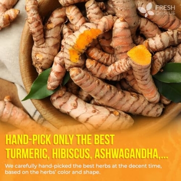 FreshDrinkUS Harmony Herbal Tea | 60 Natural Tea Bags