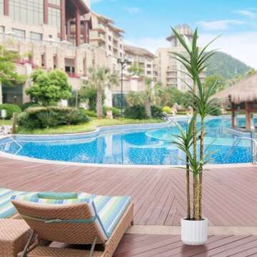 ProDeco Artificial 6Ft Agave Yucca Trees Large Tall Fake Plants with 4 Heads Floor Silk Faux Potted Plants for Home Living Room Bedroom Office Decor Indoor Outdoor…