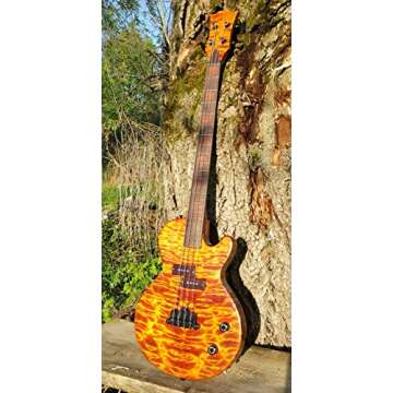 Wood Dye - Aniline Dye 5 Color Kit - Wood Stain Powder