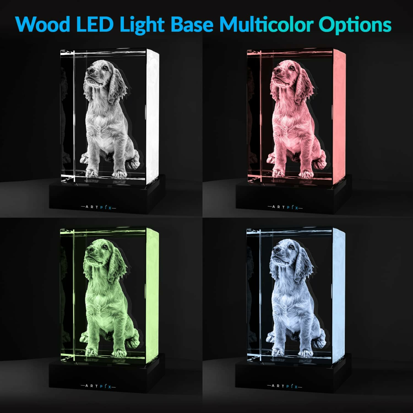 3D Crystal Dog Memorials for Pet Lovers