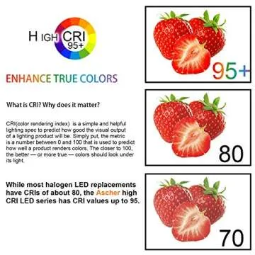 Ascher Vintage LED Edison Bulbs, 60W Equivalent - Pack of 6