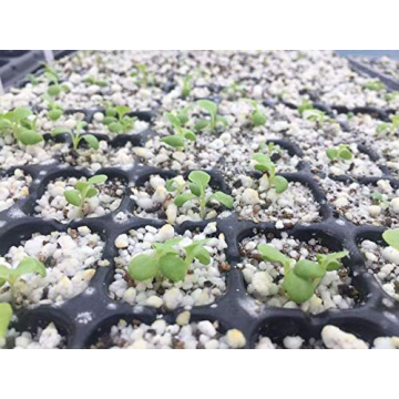 AIFUSI 10 Pack Seed Starter Kit for Gardening Success