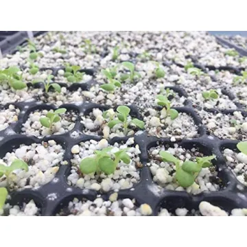 AIFUSI 10 Pack Seed Starter Kit for Gardening Success