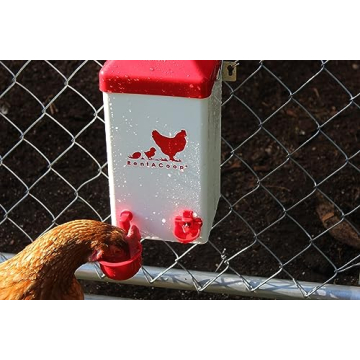 RentACoop 1 Gallon Chicken Waterer with Auto-Fill Cups