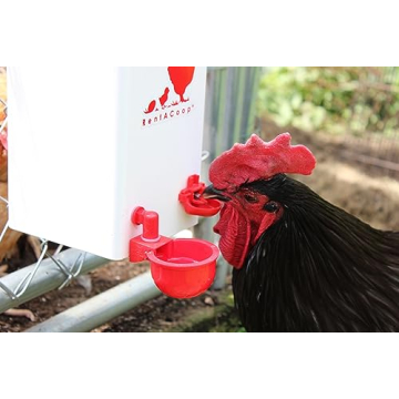 RentACoop 1 Gallon Chicken Waterer with Auto-Fill Cups