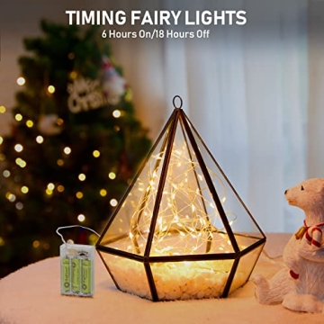 Battery Operated 5 Pack Fairy Lights for All Occasions