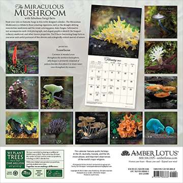 The Miraculous Mushroom 2023 Wall Calendar: With Fabulous Fungi Facts