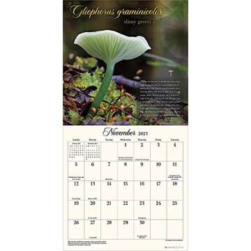 The Miraculous Mushroom 2023 Wall Calendar: With Fabulous Fungi Facts