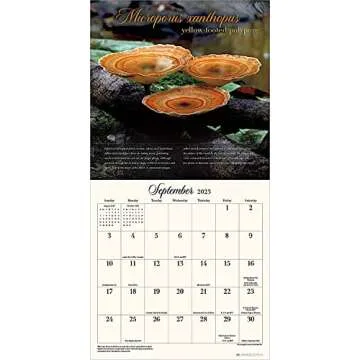 The Miraculous Mushroom 2023 Wall Calendar: With Fabulous Fungi Facts