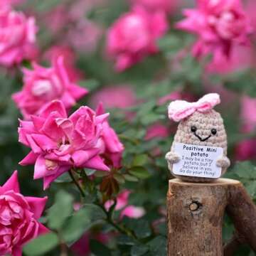 qyqkfly Mini Positive Cute Funny Life Potato Tomato Eggplant Onion Cute Animals Creative Knitted Holding Card Crochet Birthday Christmas Girls Gifts Party Decor