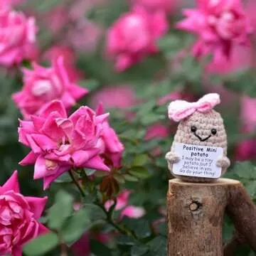 qyqkfly Mini Positive Cute Funny Life Potato Tomato Eggplant Onion Cute Animals Creative Knitted Holding Card Crochet Birthday Christmas Girls Gifts Party Decor