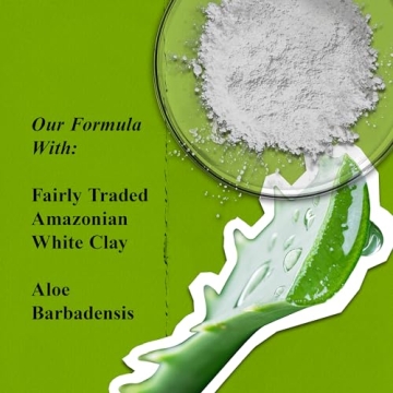 Kiehl's Rare Earth Deep Pore Cleansing Mask - Detox Skin