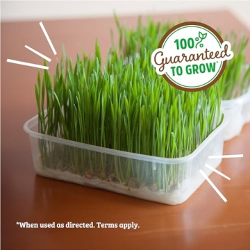 Organic Wheatgrass Seeds - 2lb Non-GMO for Health & Cats