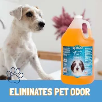 Bio-Groom Groom'n Fresh Dog Shampoo for All Pets