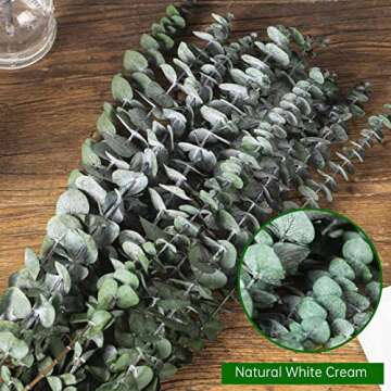 10 Pcs Natural Dried Eucalyptus Stems for Decor