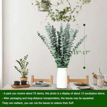 10 Pcs Natural Dried Eucalyptus Stems for Decor