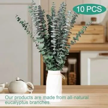 10 Pcs Natural Dried Eucalyptus Stems for Decor