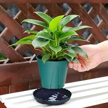 ECOESPTI 12Pcs Plant Saucer, 6 8 10 Inch Durable Plastic Plant Tray, Black Round Plant Pot Saucers, Drip Tray for Indoor and Outdoor Garden