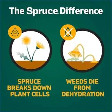 Spruce Weed Killer Refill - Versatile Weed & Grass Killer₂ for Flower Beds, Driveways & Mulch Beds - No Pour, No Mix, No Mess Refill - Kills Dandelions, Crabgrass & More - Results in 1 Hour (64 Oz)