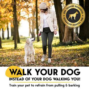 Prong Collar for Dogs - No Pull, Pinch Collar with Adjustable Quick Release - Stainless Steel Metal Dog Choker Chain for Small, Medium, Large Breed Sizes