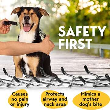 Prong Collar for Dogs - No Pull, Pinch Collar with Adjustable Quick Release - Stainless Steel Metal Dog Choker Chain for Small, Medium, Large Breed Sizes