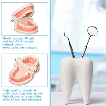 Nuanchu 4 Pcs Dental Teeth Model Standard Teeth Models Plastic Mouth Model Bulk Teaching Study Supplies for Teaching Dentist Dental Clean Display, 3.15 x 2.2 in
