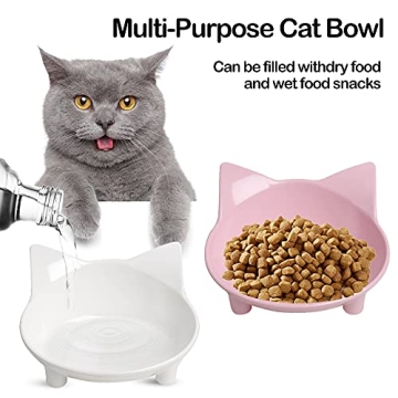Skrtuan Cat Bowls - Stylish Non-Slip Feeding Bowls