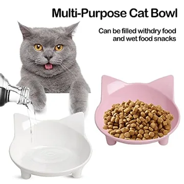 Skrtuan Cat Bowls - Stylish Non-Slip Feeding Bowls