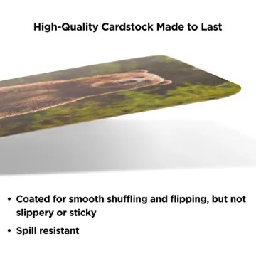 Think Tank Scholar Rhyming Flash Cards for Kids Ages 4-8