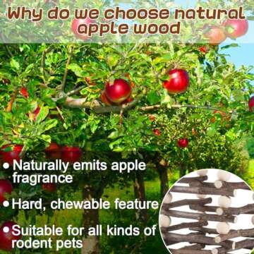 Hanging Apple Wooden Hay Feeder for Small Pets