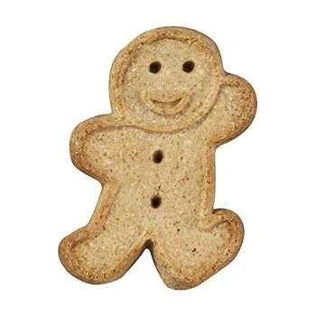 Buddy Biscuits Oven-Baked, Healthy Whole-Grain, Crunchy Treats for Dog