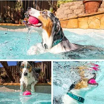 Hyper Pet Tennis Balls for Dogs (Safe Dog Tennis Ball for Exercise and Training, Interactive Toys work with Hyper Pet K9 Kannon K2 Launcher - 4 Pack 2.5" Pink