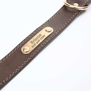 Custom Engraved Dog Collar - Soft Personalization Options