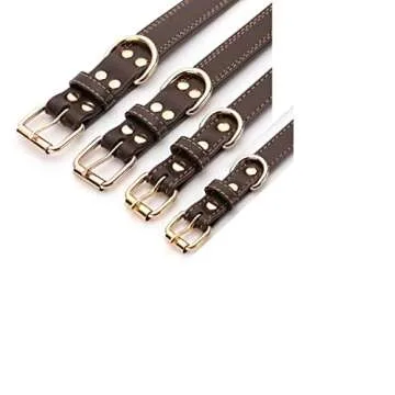 Custom Engraved Dog Collar - Soft Personalization Options