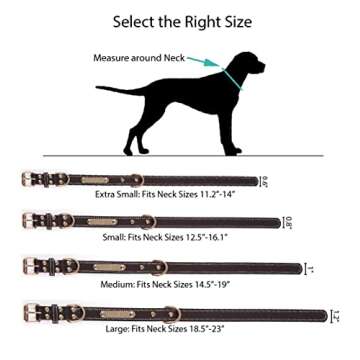 Custom Engraved Dog Collar - Soft Personalization Options